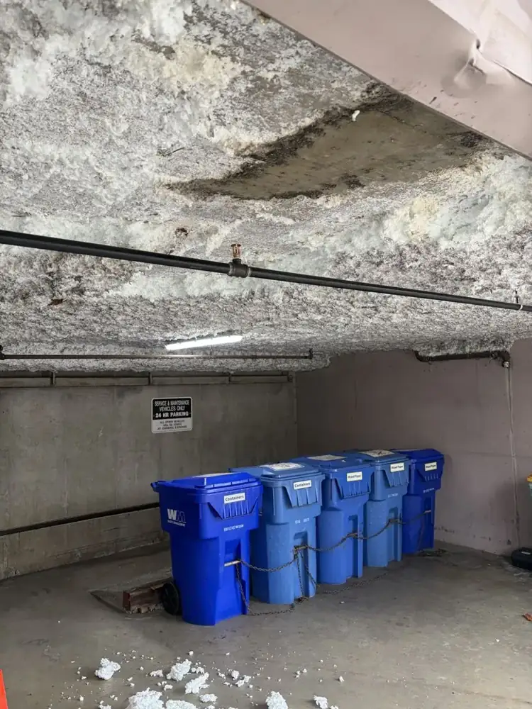 Monoglass repair area at Dorchester House in New Westminster